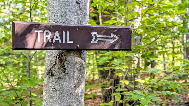 istock Hiking trail marker with arrow 2242885601