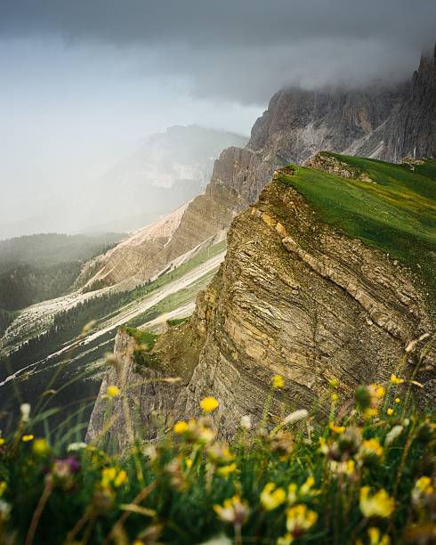 A dramatic mountain landscape with rocky cliffs and vibrant wildflowers under a cloudy sky in the Dolomites.