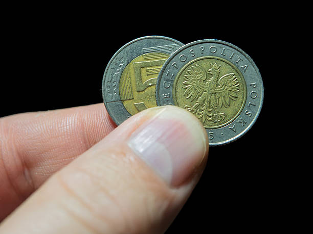 istock Polish Currency Coins in Hand Against Black Background 2242891138