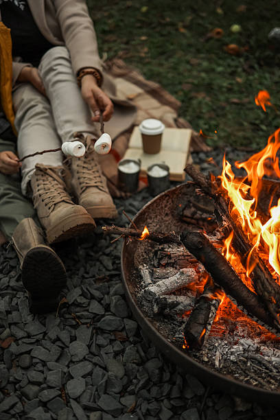 istock Cozy campfire scene with marshmallows roasting over the flames on a cool evening. 2242902405