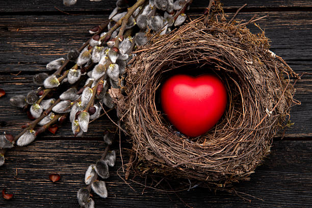 Close-up of a red heart in a bird nest decorated with pussy willow twigs. Spring Easter concept of love and rebirth.