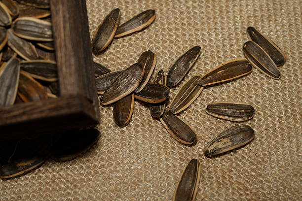 Sunflower seeds, harvested from Helianthus annuus, are nutrient-rich snacks known for their nutty flavor, crunchy texture, and uses in cooking, oil production, and healthy diets.