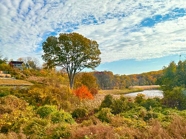 istock Autumn in Croton-on-Hudson, New York 2242906722