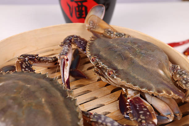 Delicious seafood swimming crab