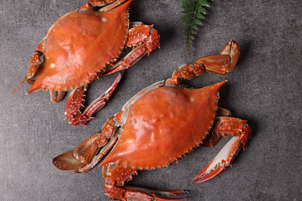 istock Delicious seafood swimming crab 2242909464