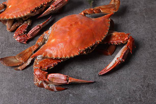 istock Delicious seafood swimming crab 2242909467