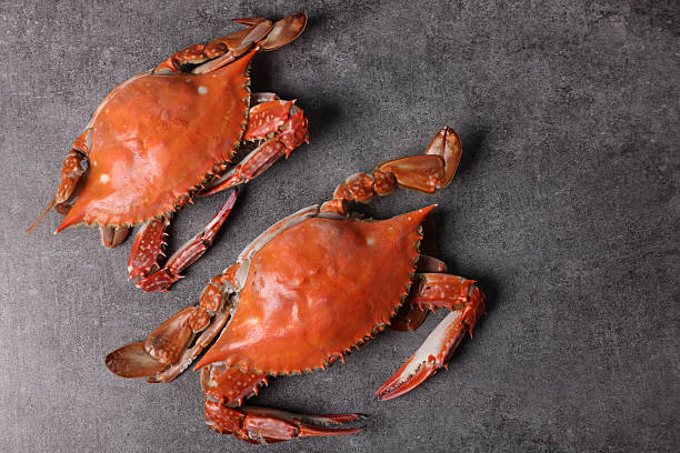 istock Delicious seafood swimming crab 2242909470