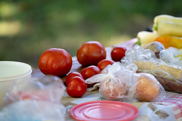 A colorful assortment of fresh vegetables, including tomatoes, onions, and peppers, arranged on a checkered outdoor table. The natural lighting and blurred background evoke a relaxed, rustic atmosphere perfect for cooking or picnicking in nature.