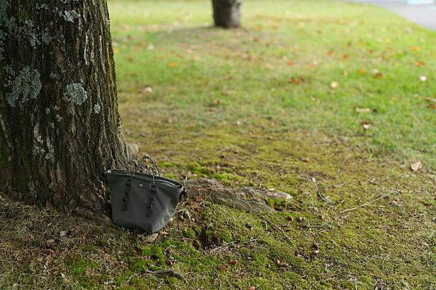 A purse is sitting on the ground next to a tree. The purse is black and has a silver zipper. The scene is peaceful and quiet, with the tree providing a sense of calmness and serenity
