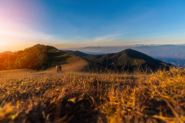 Mountain landscape at sunset. forest and green slopes