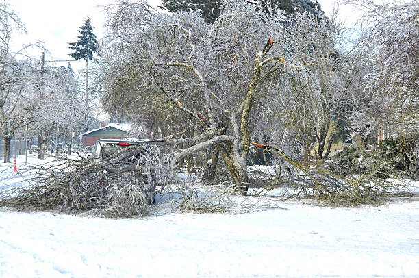 istock Ice Storm Portland, Oregon 2242918859