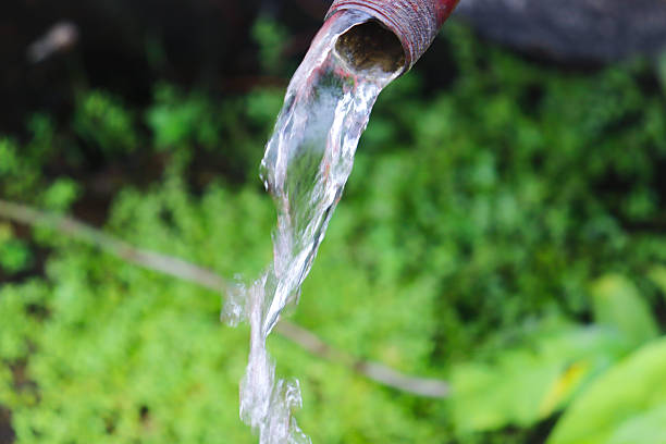 istock Clear water streams from a rusty pipe, creating a refreshing cascade into lush green foliage below 2242920114