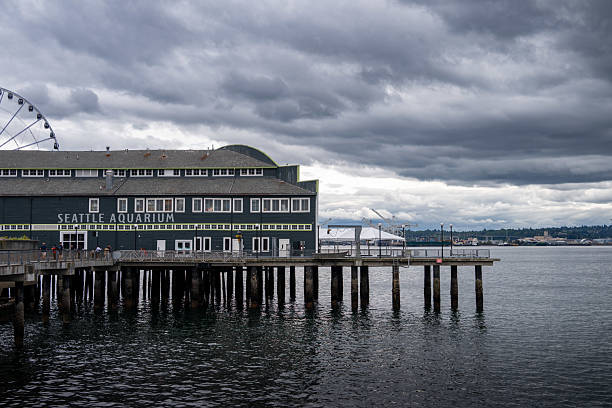 A moody view of Seattle’s waterfront featuring the Seattle Aquarium pier and the Great Wheel in the background. Dark clouds loom over the water, adding drama to this classic Pacific Northwest coastal scene.