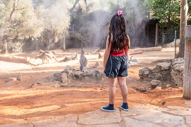 Two cute little sisters watching animals in the zoo on warm and sunny summer day. Children watching zoo animals standing by the fence. Active family leisure.