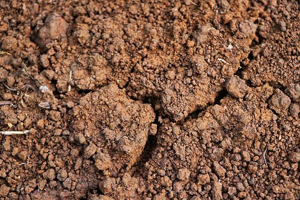 istock Close-up of dry brown soil texture. 2242928666