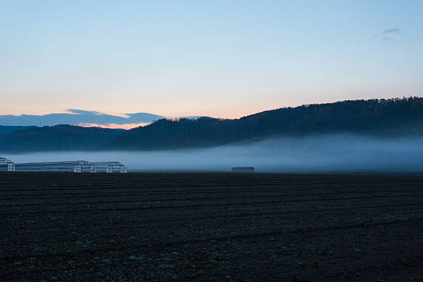 A mystical landscape emerging through the mist