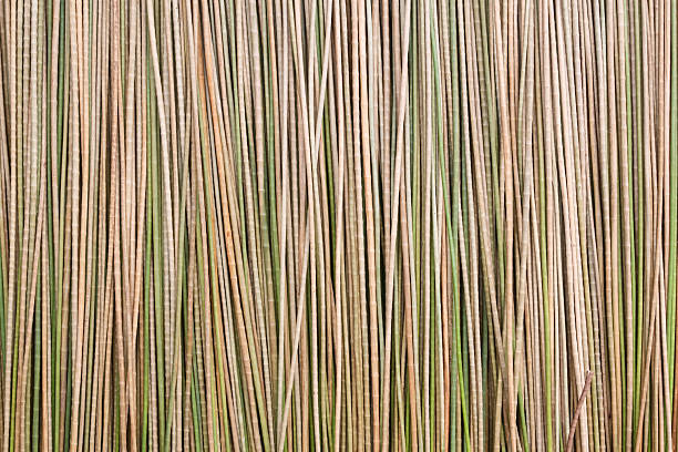 Discover the charm of handmade traditional brooms with this vibrant and detailed collection of images. These beautifully crafted brooms, with their intricate designs and colorful bindings, showcase the artistry and cultural heritage of broom-making. Perfect for adding a rustic and authentic touch to your home decor or for practical use, these brooms are a testament to craftsmanship and tradition.