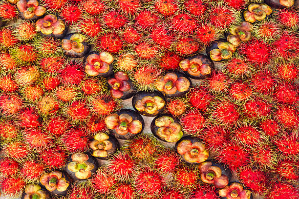 Mangosteen and rambutan arranged on the board