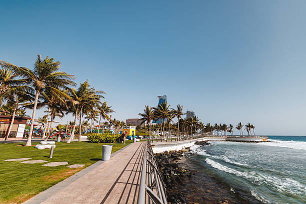 Wide view of a coastal walkway lined with tall palm trees under a clear blue sky. The ocean waves gently lap against the rocks, while modern buildings are visible in the background. People are enjoying the scenic path and green spaces.
