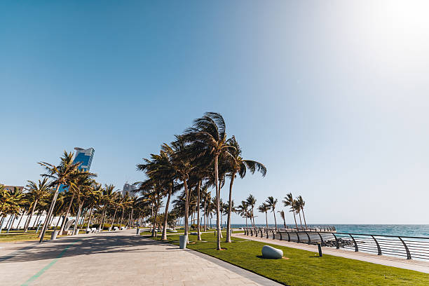 istock Serene Palm-lined Walkway Along Jeddah Seaside Promenade 2242938912