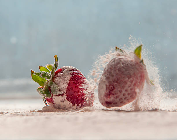 strawberries in motion, jumping in powdered sugar