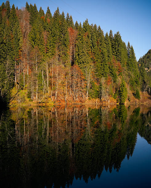 istock Scropoasa Lake in Autumn Colors 2242950740