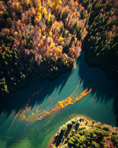 istock Scropoasa Lake in Autumn Colors 2242950758