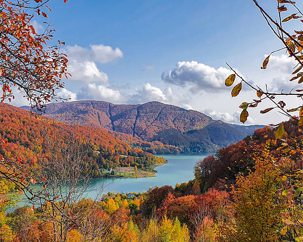 istock Paltinu Lake Romania 2242950926