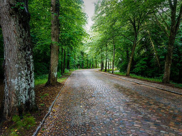 A serene cobblestone path with lush trees beckons visitors to discover Mogeltonder's beauty in Southern Denmark.