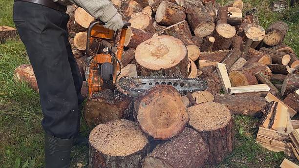 istock Lumberjack preparing chainsaw for cutting firewood logs 2242956931