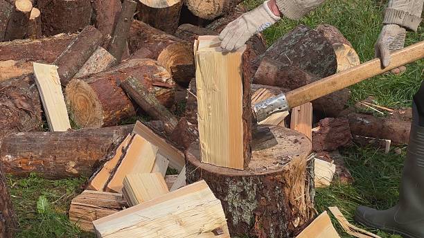 istock Lumberjack splitting firewood with axe on chopping block 2242959622