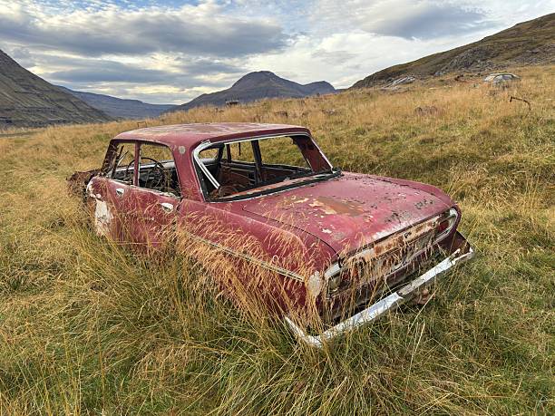 The abandoned vehicles in wild