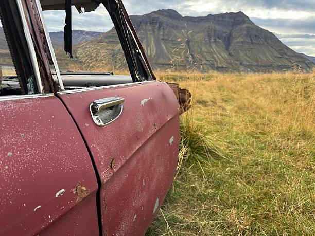 The abandoned vehicles in wild