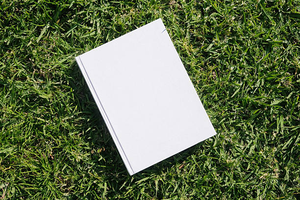 istock Mockup book on green grass background 2242970572
