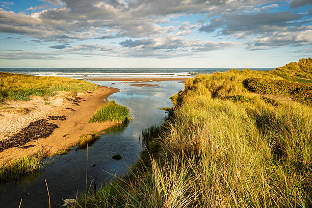 istock Dunbar Burn passes through Druridge Dunes 2242973810