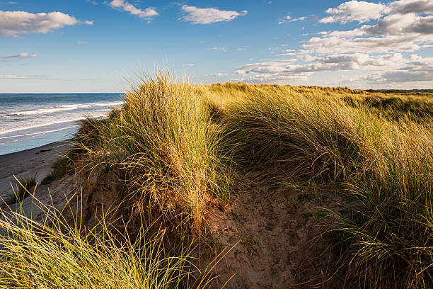 A scenic coastal pathway framed by grassy dunes accompanies viewers towards a serene beach with calm waters beneath a strikingly colorful sunset sky, evoking peace and natural beauty.