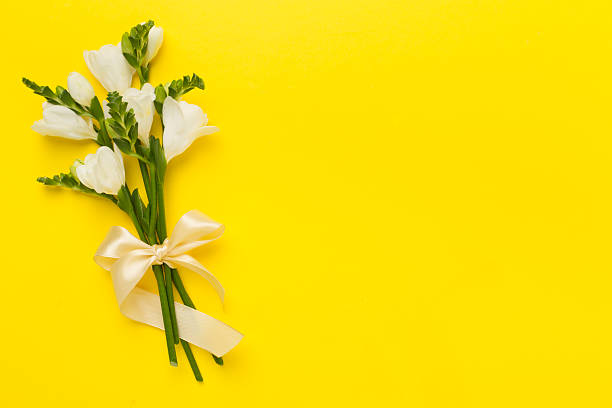 istock White freesia flower on color background, top view 2242975635