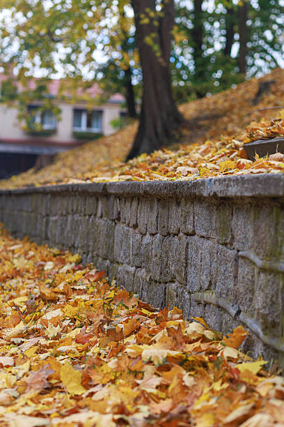 istock Stone wall covered with fallen autumn leaves 2242977678