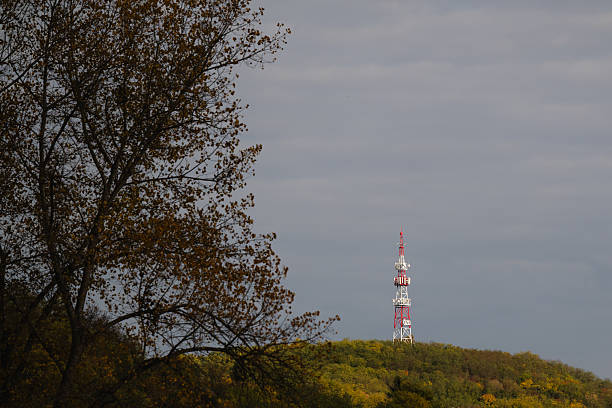 Colorful autumn forest with golden-yellow trees under a dramatic cloudy sky, featuring a telecommunication tower on a distant hill. The contrast between technology and nature creates a striking and atmospheric composition.