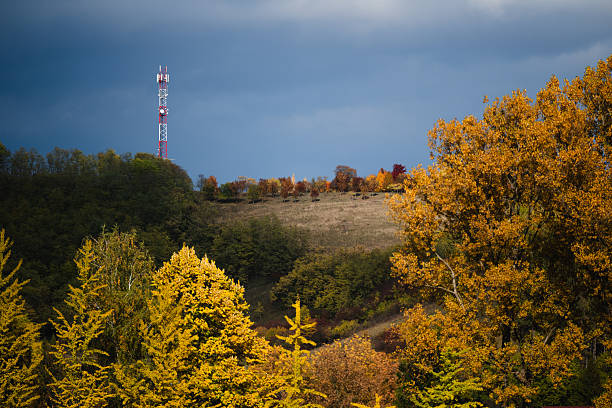 Colorful autumn forest with golden-yellow trees under a dramatic cloudy sky, featuring a telecommunication tower on a distant hill. The contrast between technology and nature creates a striking and atmospheric composition.