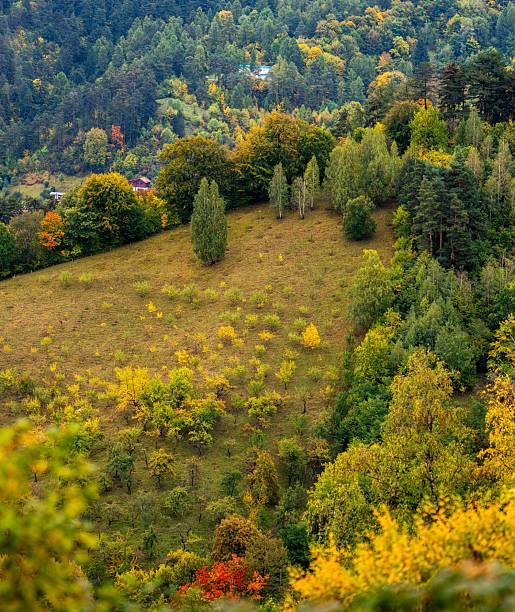 istock Autumn hillside with vibrant foliage. 2242979652