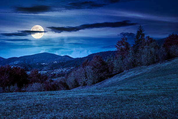 istock mountain landscape in autumn at night 2242983215