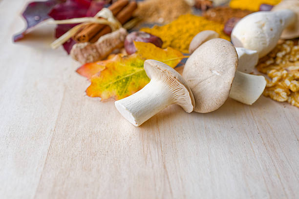 Close-up of fresh mushrooms surrounded by colorful leaves, cinnamon, and turmeric powder. The soft light and warm palette create a calm, nourishing atmosphere that celebrates the beauty of seasonal whole foods. Copy space for text, macro shot - healthy lifestyle, food and drink