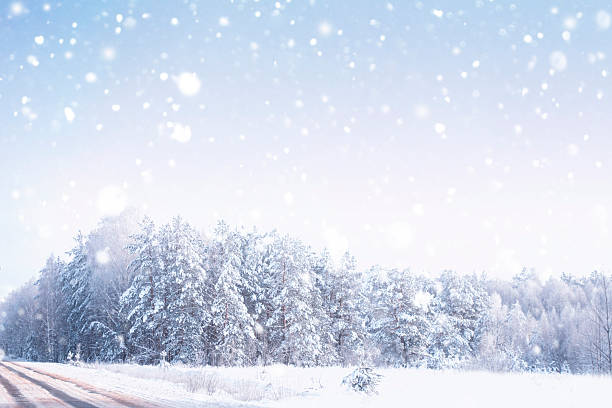 istock Road in a winter forest covered with snow. Heavy snowfall. 2242994377