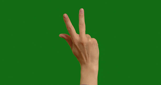 istock Hands showing counting with fingers on green screen background. 2242995062