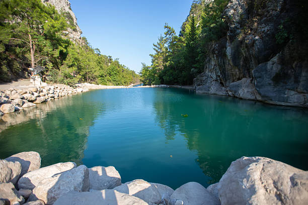 Crystal clear water in a serene canyon surrounded by lush greenery during a bright sunny day