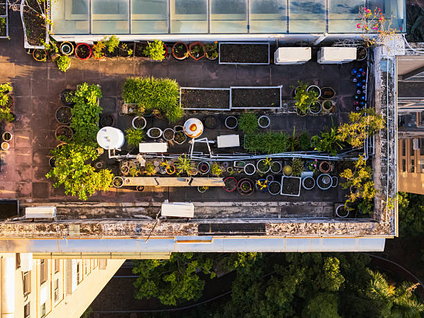istock Building rooftop garden planting field 2242997018