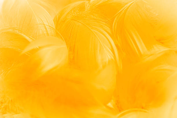 An abstract background featuring soft, blended shades of yellow. The texture appears smooth with flowing patterns, creating a warm and inviting atmosphere.