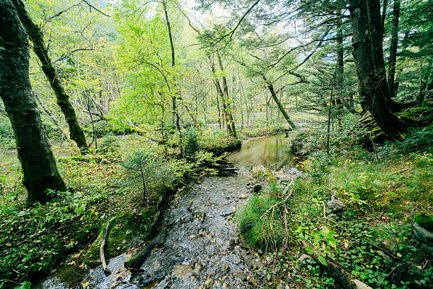 Beautiful scenery of Kamikochi in October