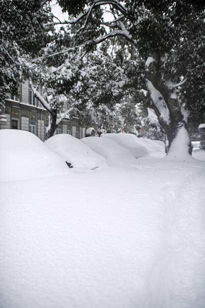 A city street during heavy snowfall